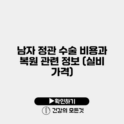 남자 정관 수술 비용과 복원 관련 정보 (실비 가격)