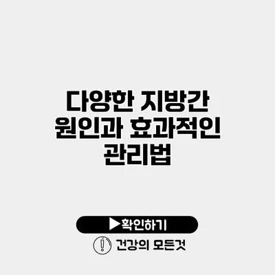 다양한 지방간 원인과 효과적인 관리법