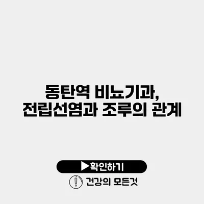 동탄역 비뇨기과, 전립선염과 조루의 관계
