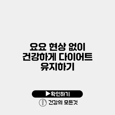 요요 현상 없이 건강하게 다이어트 유지하기