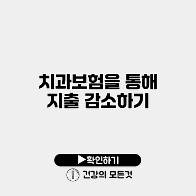 치과보험을 통해 지출 감소하기