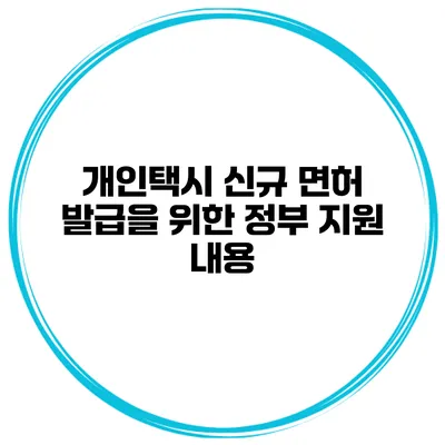 개인택시 신규 면허 발급을 위한 정부 지원 내용