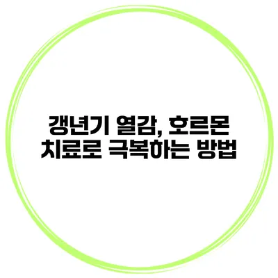 갱년기 열감, 호르몬 치료로 극복하는 방법