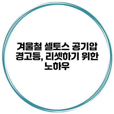 겨울철 셀토스 공기압 경고등, 리셋하기 위한 노하우