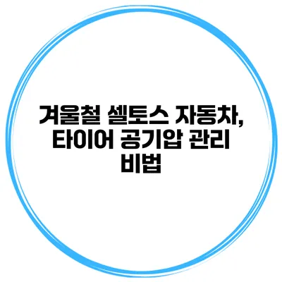 겨울철 셀토스 자동차, 타이어 공기압 관리 비법