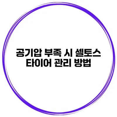 공기압 부족 시 셀토스 타이어 관리 방법