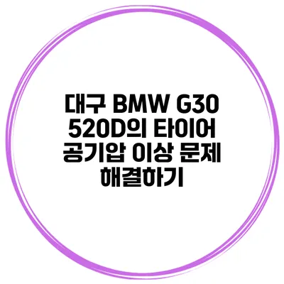 대구 BMW G30 520D의 타이어 공기압 이상 문제 해결하기