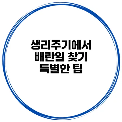 생리주기에서 배란일 찾기 특별한 팁