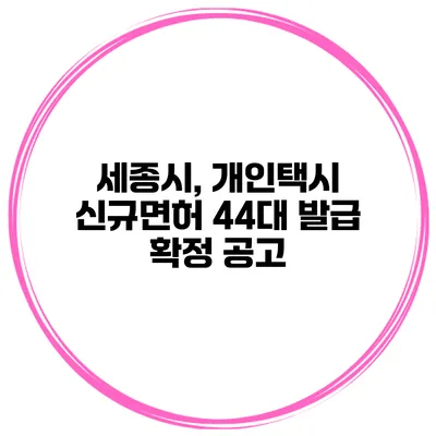 세종시, 개인택시 신규면허 44대 발급 확정 공고