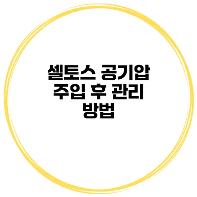 셀토스 공기압 주입 후 관리 방법