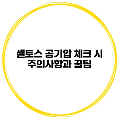 셀토스 공기압 체크 시 주의사항과 꿀팁