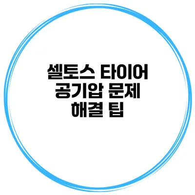 셀토스 타이어 공기압 문제 해결 팁