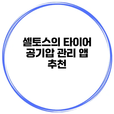 셀토스의 타이어 공기압 관리 앱 추천