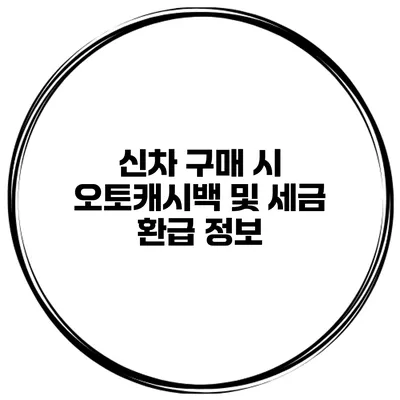 신차 구매 시 오토캐시백 및 세금 환급 정보
