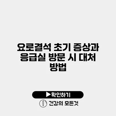 요로결석 초기 증상과 응급실 방문 시 대처 방법