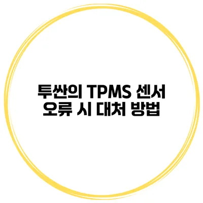 투싼의 TPMS 센서 오류 시 대처 방법